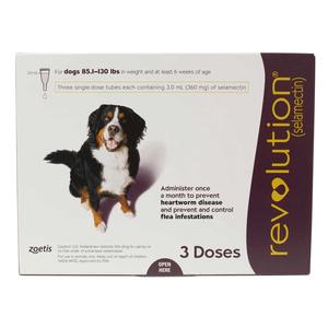 RevolutionDog Pfizer Animal Health